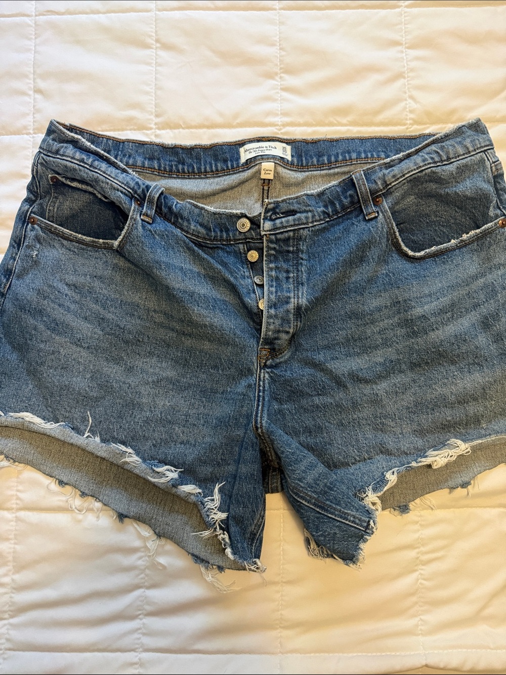 Abercrombie and Fitch The 90s Baggy Short Low Rise Curve Love